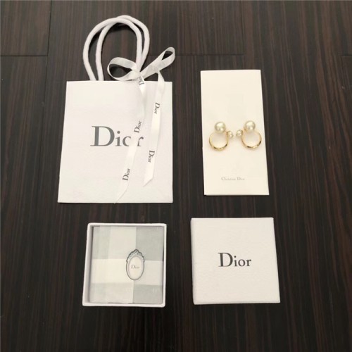 디올 귀걸이 D91111